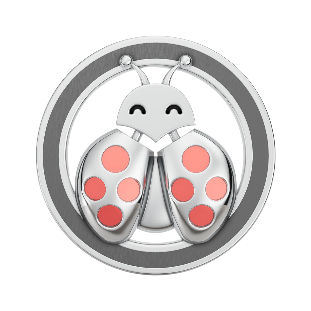 Ladybug Rakhi Pendant | 925 Silver Convertible Rakhi