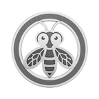 Honey Bee Rakhi Pendant | 925 Silver Convertible Rakhi